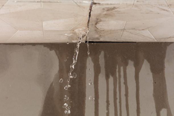 Professional Structural Drying technician working in Riverside, CA